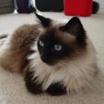 Home 5 5b1df490 4217 4d96 aae8 a2cb19a479a7. CR560336336 UX460